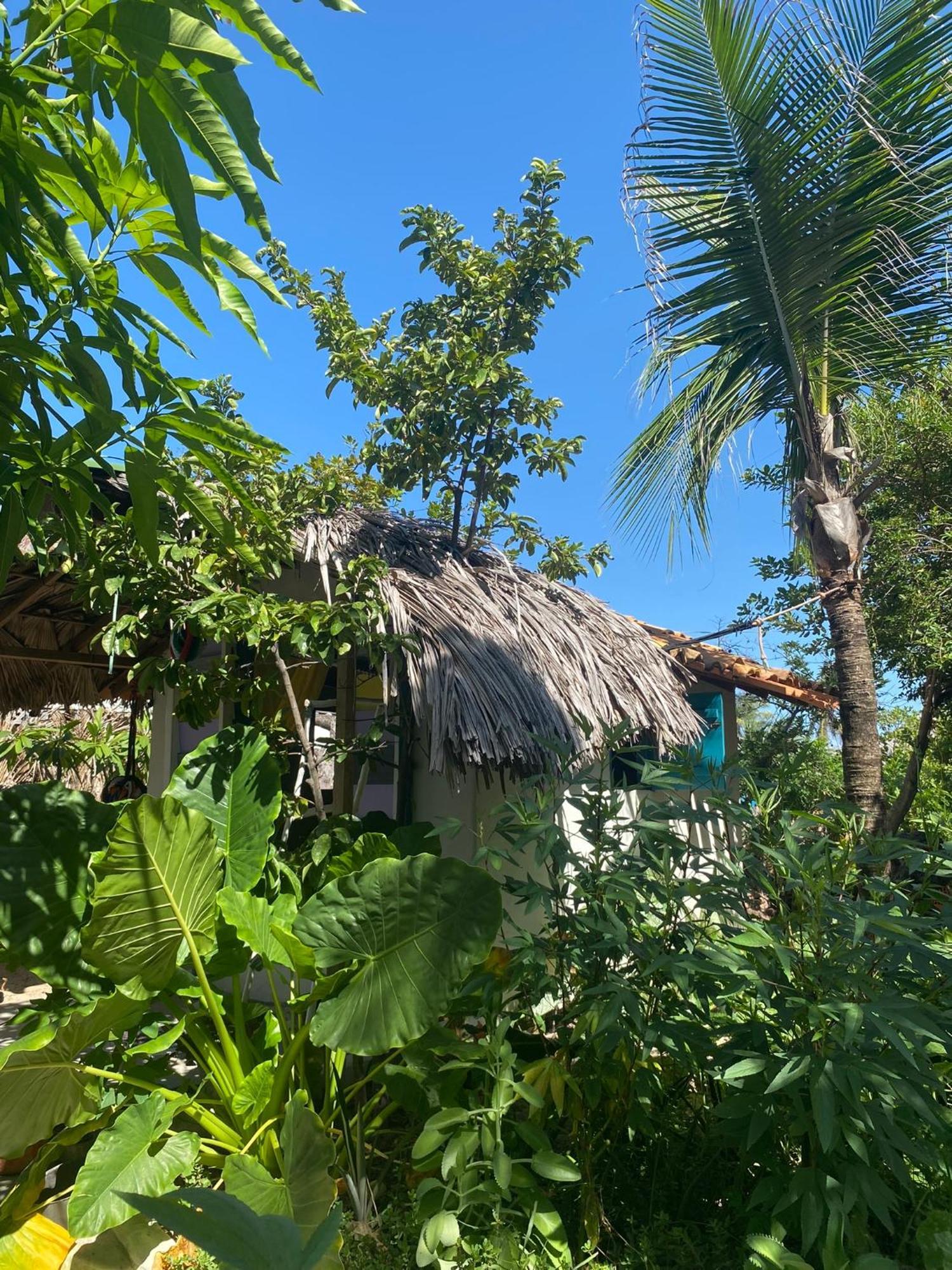 Casa Acquamarina Ξενοδοχείο Atins Εξωτερικό φωτογραφία